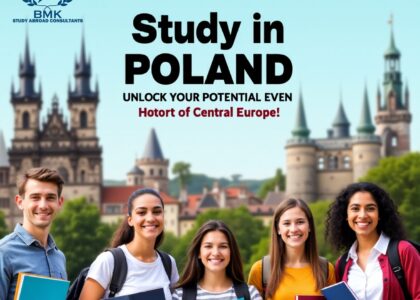 study poland bmk consultants